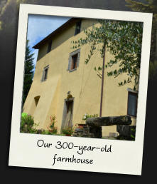 Our 300-year-old farmhouse
