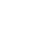 Orange lily (June)
