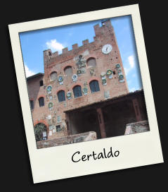 Certaldo town hall