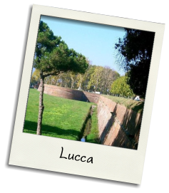 Lucca